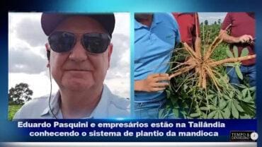 Mandioca : produtores do Brasil visitam lavouras na Tailândia