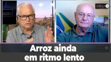 Arroz ainda em ritmo lento