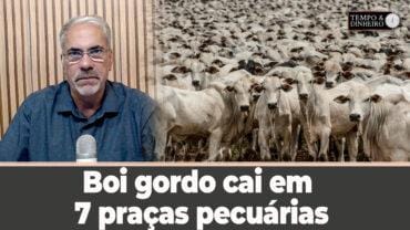 Boi gordo segue “testado” pela indústria com ofertas de preços menores e cai em 7 praças pecuárias