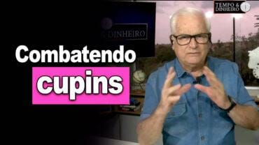 “Combatendo cupins” , estória de um reino onde um lenhador foi condenado a apodrecer na masmorra