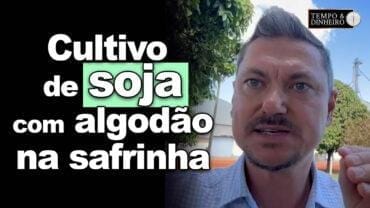 Alexandre Gazolla está no MT e fala sobre a importância do cultivo e produção de algodão na região