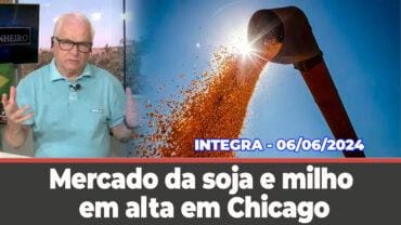 Mercado da soja e milho em alta em Chicago, CONAB consegue comprar grande volume de arroz