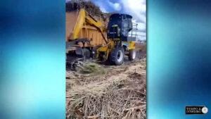 LS TRACTOR PLUS 100 – Um show de desempenho com a carregadeira de cana