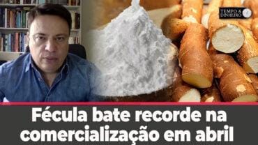 Mercado da Mandioca : Fécula bate recorde na comercialização em abril. Farinha tem baixa liquidez