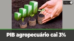 PIB agropecuário cai 3% no 1º trimestre na comparação anual