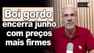 Boi gordo encerra junho com preços mais firmes , de olho no clima, exportações e escalas de abate