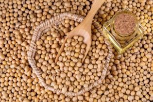 Soja com suporte nos US$ 11 em Chicago