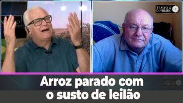 Arroz parado com o susto de leilão