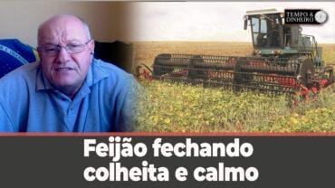 Feijão fechando colheita e calmo