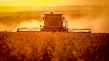 Prêmios em alta valorizam a Soja, analisa Vlamir Brandalizze