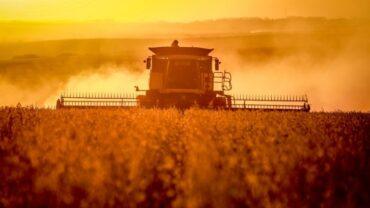 Soja se protegendo frente ao USDA