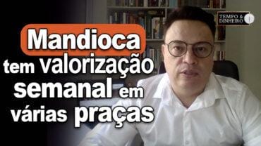 Mercado da mandioca tem valorização semanal em várias praças ,exceto em SP , informa Fábio Felipe
