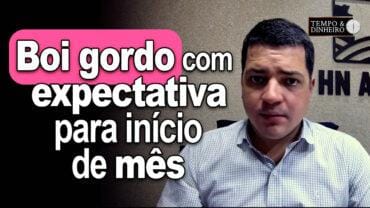 Boi gordo com expectativa para início de mês,  de olho nas escalas mais  enxutas e preços firmes