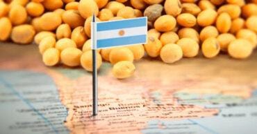 Vendas de soja da Argentina caíram 45% em junho