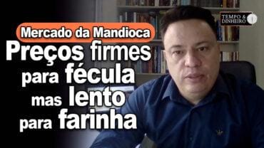 Mercado da mandioca tem preços firmes para fécula mas lento para farinha, diz Fábio Felipe do CEPEA