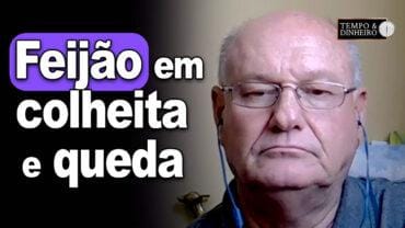 Feijão em colheita e queda, analisa Vlamir Brandalizze