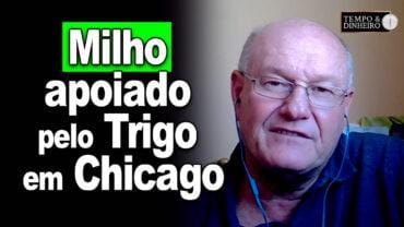 Milho apoiado pelo Trigo em Chicago