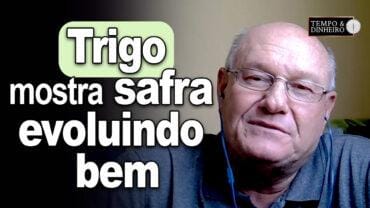 Trigo mostra safra evoluindo bem, analisa Vlamir Brandalizze