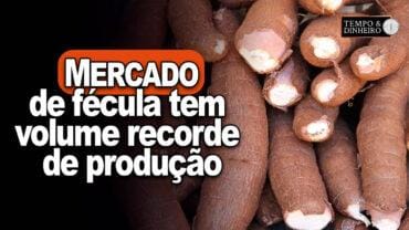 Mandioca: mercado de fécula tem volume recorde de produção, informa Fabio Isaías Felipe, do CEPEA