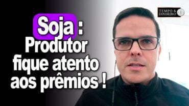 Soja : produtor deve ficar atento aos prêmios que sobem. Viés de sobrevivência ?