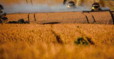 Soja sofre pressão das chuvas, comenta Vlamir Brandalizze