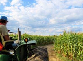 Milho cresce nos portos, analisa Vlamir Brandalizze