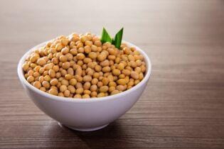 Cavalinho da Soja voltando, comenta Vlamir Brandalizze