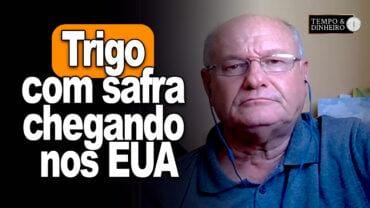 Trigo com safra chegando nos EUA, alerta Vlamir Brandalizze