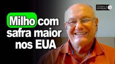 Milho com safra maior nos EUA