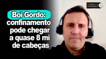 Boi gordo: confinamento pode chegar a quase 8 milhões de cabeças projeta o CEPEA