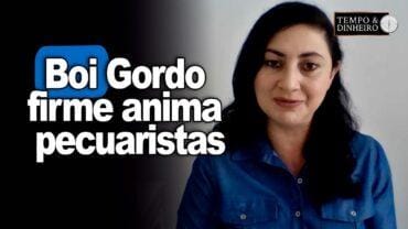 Boi gordo firme sem sinais de arrefecimento anima pecuaristas, informa Shirley Menezes, do CEPEA