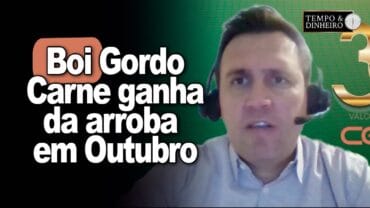 Boi gordo segue firme e carne tem maior valorização em outubro do que a @, informa Thiago Bernardino