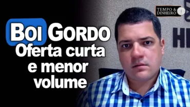 Boi segue com oferta curta e menor volume de carne, o que sustenta preços, afirma Hyberville Neto
