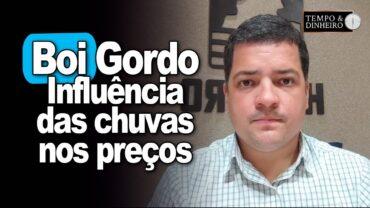 Boi gordo e influência das chuvas no mercado. Hyberville Neto explica