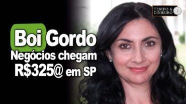 Boi gordo: outubro  com preços firmes e negócios chegam a R$325@ em SP, analisa Shirley Menezes