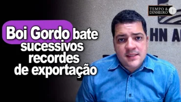 Boi gordo bate sucessivos recordes de exportação , informa Hyberville Neto