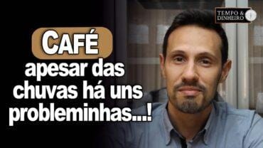 Café : apesar das chuvas há pouco pegamento de floradas, informa Bruno Labs