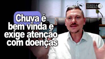 Chuva é bem vinda e exige atenção com doenças nas lavouras principalmente soja, alerta A. Gazolla
