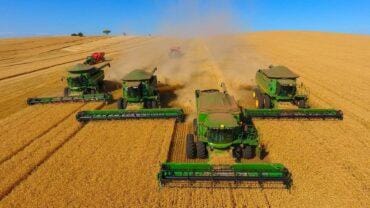 USDA reduz produção de soja, aumenta no milho nos EUA. Relatório mais neutro, informa Carla Mendes