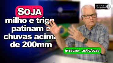 Soja, milho e trigo patinam. Café sobe de olho no dólar e eleições nos EUA. Chuvas com até 200 mm