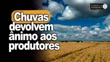 Chuvas devolvem ânimo aos produtores especialmente aos do RS, relata Alexandre Gazolla
