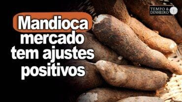 Mandioca: mercado de farinha e fécula tem ajustes positivos mas achatamento das margens da indústria