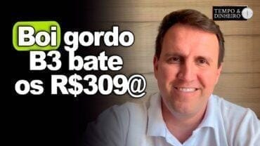 Boi gordo e vaca seguem em alta e SP bate recorde nas exportações. B3 bate os R$309@