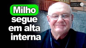 Milho segue em alta interna, comenta Vlamir Brandalizze