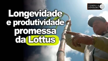 Faça isso e tenha mais longevidade e alta produtividade