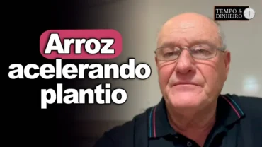 Arroz acelerando plantio, analisa Vlamir Brandalizze