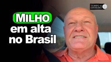 Milho em alta no Brasil e calmo em Chicago, Vlamir Brandalizze comenta