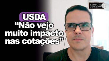 USDA divulga relatório sobre soja, milho e trigo. M. Bellinelo não vê grandes impactos nas cotações