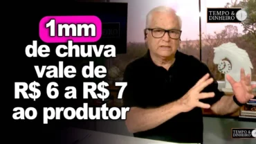 Custo da seca: 1 mm de chuva vale de R$ 6 a R$ 7 ao produtor