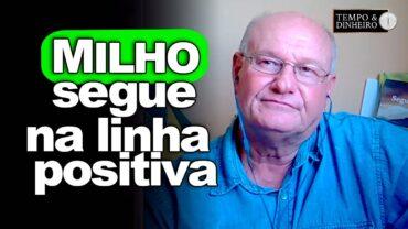 Milho segue na linha positiva, afirma Vlamir Brandalizze